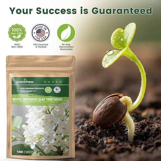White Japanese Lilac Tree Seeds - 100 Non-GMO Heirloom Seeds for Planting, Fragrant Flowering Tree for Pollinator Gardens, Landscaping & Privacy Screens, USDA Zones 3-7