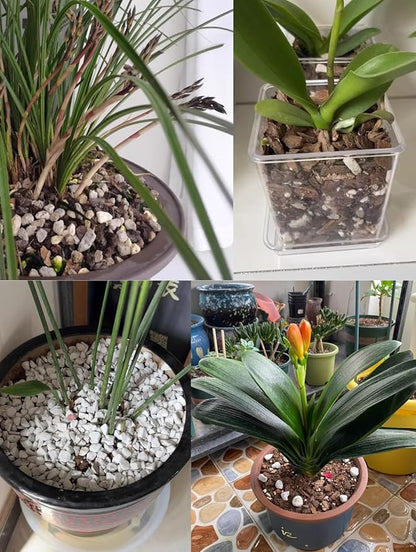 30QT Organic Perlite Horticultural Soil Amendment for Plants and Enhanced Drainage Enhanced