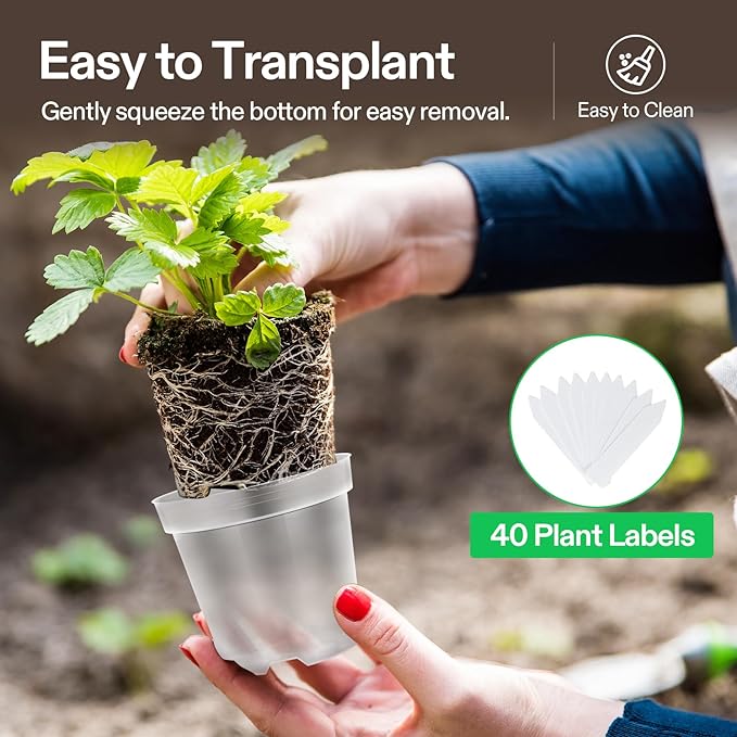 VIVOSUN 80 Packs 3/4/5/6 Inch Clear Nursery Pots with Drainage Holes, Reinforced Plastic Seedling Pots for Plants, Flowers, Cuttings, and Succulents, 40 pcs Plant Labels