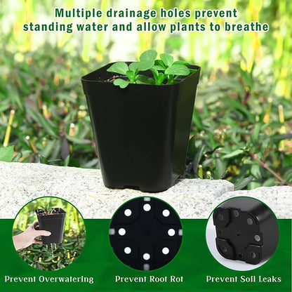 June Fox Small Seedling Pots 4 Inch, 100 Pcs Square Plant Pots Bulk, Plastic Nursery Pots with Drain Holes for Seedlings, Succulents, Cuttings (Black)