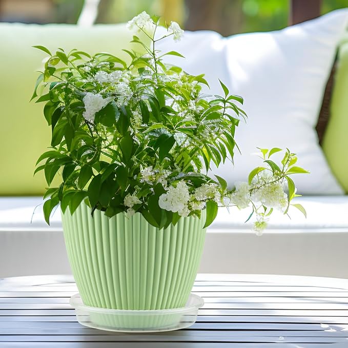 5 Pack Plant Saucer 10 Inch Clear Plant Trays for Pots Thickened Transparent Plant Saucer Tray Indoor and Outdoor Pot Saucer
