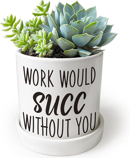 Work Would SUCC Without You Pots - Cute Succulent Planters, 4.3 inch Ceramic Plant Pots, Cute Cactus Planter Pot, Desk Shelf Decor for Home Office