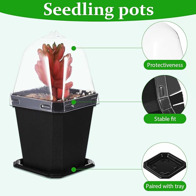 Black Plant Nursery Pots: 5Pcs Seeding Starter Pots, 3 Square Nursery Pot with Humidity Dome, Plastic Plant Container for Garden Vegetable Flower Germination