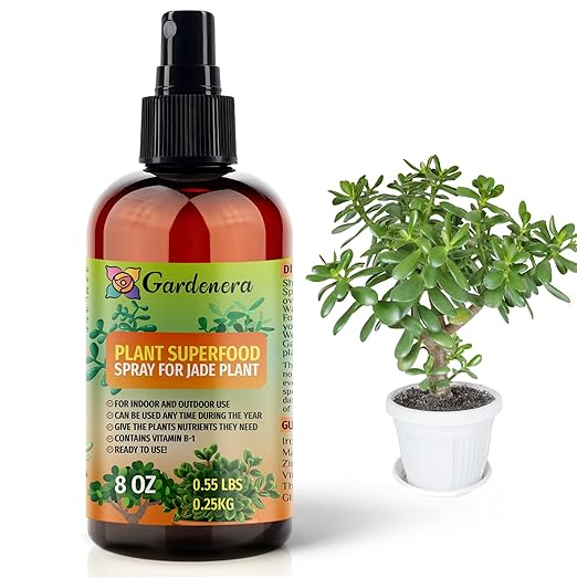 𝐁𝐄𝐒𝐓𝐒𝐄𝐋𝐋𝐄𝐑 Plant Superfood for Jade Plants with B1 Vitamin, Glucose and Essential Minerals - Organic Plantfood Fertilizer for Indoor & Outdoor Jade Plant Care - 8oz