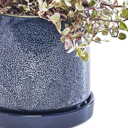 CHIVE ‘Minute’ Ceramic Planter Pot — Cute 5” Colorful Succulent Pots for Indoor & Outdoor House Plants — Beautiful Modern Farmhouse Kitchen Decor — Cosmo Blue