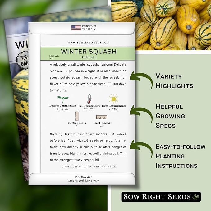 Sow Right Seeds - Yellow Scallop Squash Seed for Planting - Non-GMO Heirloom Packet with Instructions to Plant a Home Vegetable Garden, Traditional Summer Variety - Tasty Mini Squash (3)