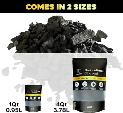 Organic Horticultural Charcoal & Terrarium Charcoal | Charcoal for Plants | Pure Hardwood Charcoal for Planting and Gardening | Organic Canadian Maple Biochar