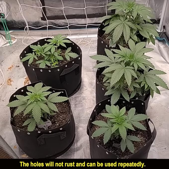 3 Gallon Fabric Pots with Holes 5 Packs with Handles Plant Grow Bags
