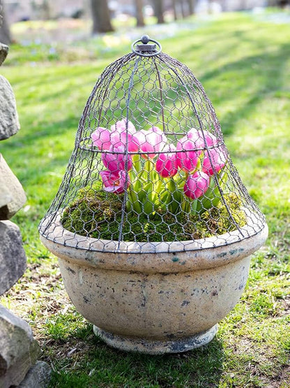Gardener's Supply Company Sturdy Chicken Wire Cloche Plant Protector & Cover | Sturdy Metal Garden Protection for Your Crops and Seedlings | No Assembly Required - 16" in Diameter x 12.5" H