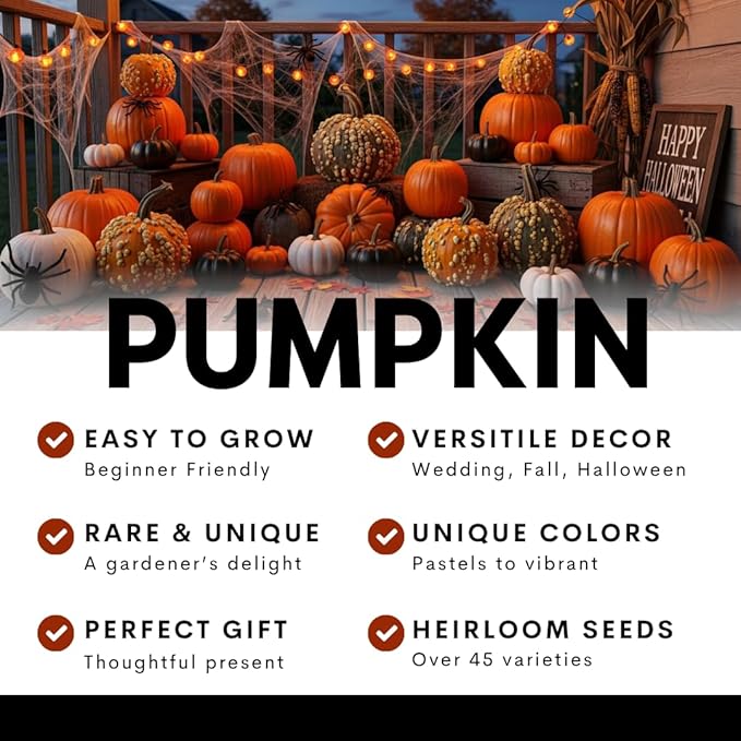 Exotic Black Kat Pumpkin Seeds for Planting (10 Seeds) – Deep Black, Smooth-Skinned Pumpkins – Rare Decorative Variety for Fall Gardens, Halloween Displays & Autumn Décor