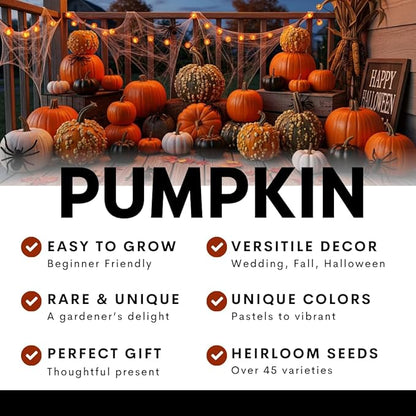 Polar Bear Pumpkin Seeds for Planting (10 Seeds) – Rare Giant White Pumpkin Variety – Grow Stunning 50–75 lb Pumpkins – Perfect for White Ghost Jack-O’-Lanterns and Fall Displays