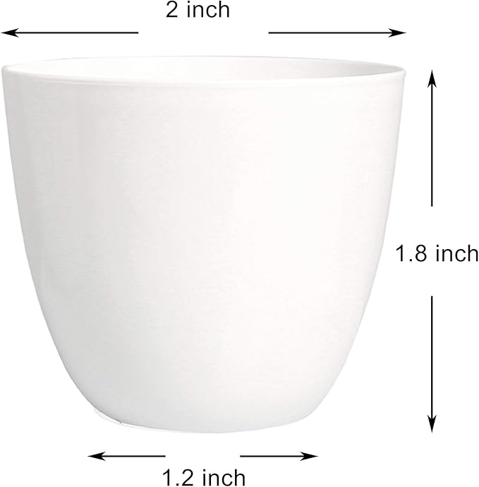 Youngever 24 Pack 2 Inch Mini Plastic Planters, Indoor Flower Plant Pots, White Gardening Pot with Drainage - NO Plant Included (Modern)