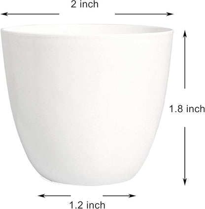 Youngever 24 Pack 2 Inch Mini Plastic Planters, Indoor Flower Plant Pots, White Gardening Pot with Drainage - NO Plant Included (Modern)