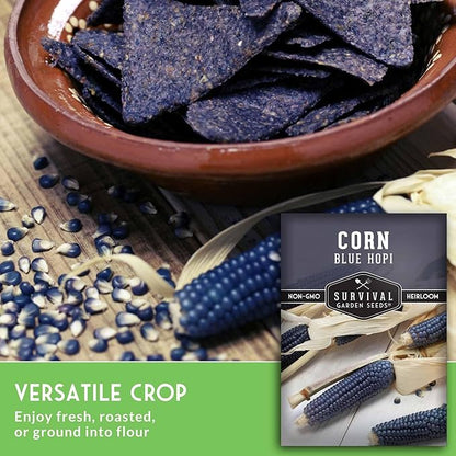 Blue Hopi Corn Seeds for Planting - Plant & Grow Heritage Blue Maize in Your Home Vegetable Garden - Non-GMO Heirloom Variety - Survival Garden Seeds (5 Packs)