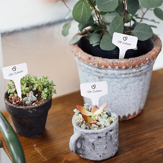 95pcs Plastic Plant Labels, 6x10cm Waterproof Plant Name Tags for Identifying Outdoor and Indoor Seedling, Herbs, Vegetables, Flowers, Potted Plants (White, 95pcs)