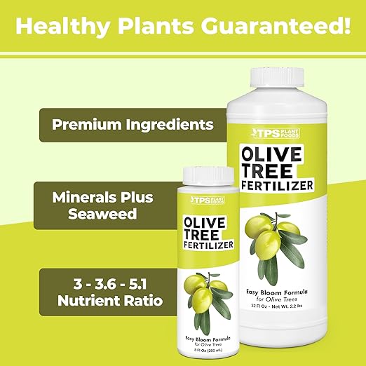 Olive Tree Fertilizer – Liquid Olive Tree Plant Food for Potted, Indoor & Outdoor Olive Trees, 32 oz