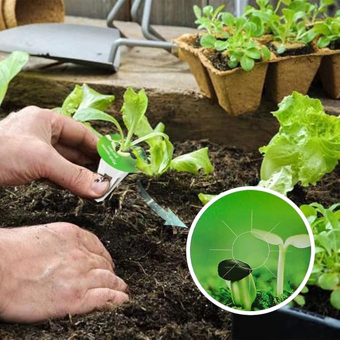 100pcs Seed Pot Labels Stickers, Round Peel and Stick Hydroponic Tags Garden Label Plant Grow Basket Label for Mark Plants and Understand Plant Growth