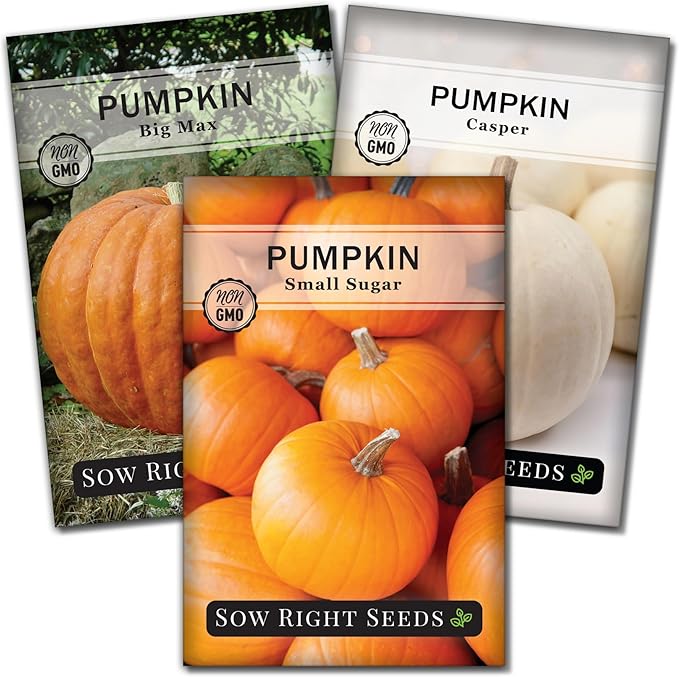 Sow Right Seeds - Classic Pumpkin Seed Collection for Planting - Small Sugar, Casper & Big Max Pumpkin Seeds - Non-GMO Heirloom Packets with Instructions to Plant Home Vegetable Garden - Fall Harvest