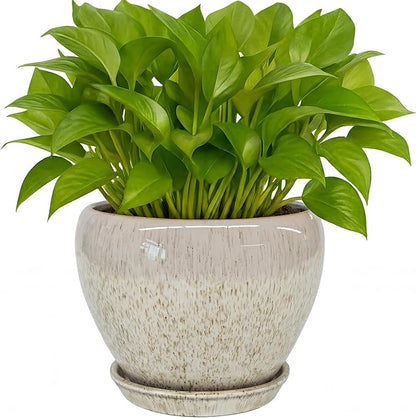 Deep Dream 6 Inch Plant Pots- Ceramic Planter Pot with Drainage Hole and Saucer, Round Flower Pot for Indoor Outdoor Succulent, Snake Plants and Cactus, Beige