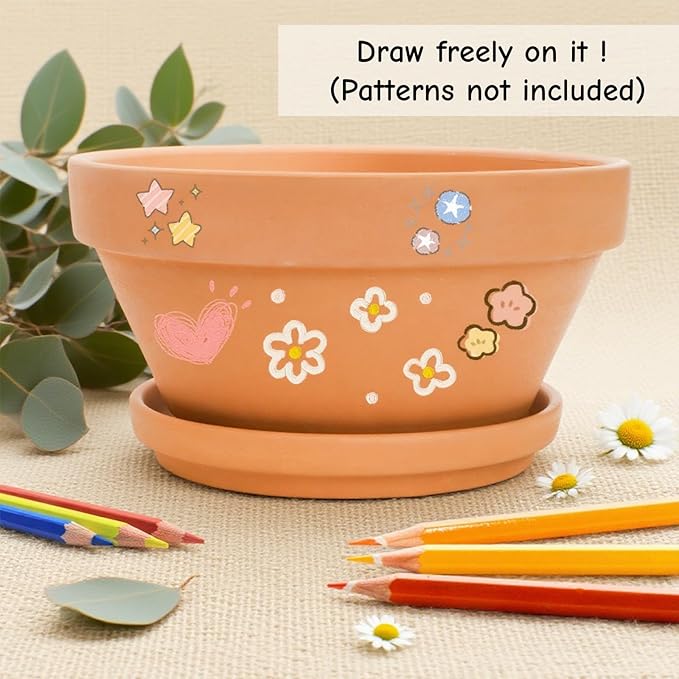 2 Pack 8 Inch Shallow Succulent Terracotta Pots with Drainage Hole and Saucer, Clay Plant Pots for Indoor and Outdoor Planter, Bowl Planter for Orchid, Cactus, Flowers