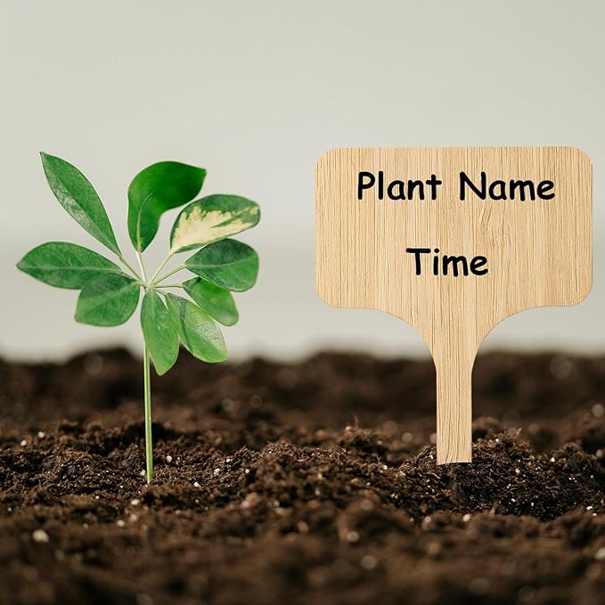 140 Pcs Bamboo Plant Labels with 1 Marker Pen, T-Type Natural Seedling Nursery Sign Tags, Wood Garden Markers Decorative Patio Tags for Outdoor Indoor Potted Plants Herbs Flowers Vegetables