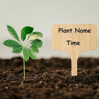 140 Pcs Bamboo Plant Labels with 1 Marker Pen, T-Type Natural Seedling Nursery Sign Tags, Wood Garden Markers Decorative Patio Tags for Outdoor Indoor Potted Plants Herbs Flowers Vegetables