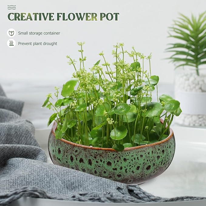 Happyyami Hydroponic Water Planter Pot Ceramic Succulent Bonsai Pot Water Lily Narcissus Planting Bowl Flowerpot Container Garden Decoration ( Style b )