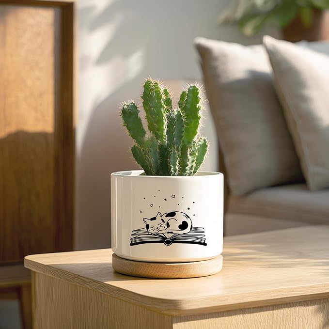 Funny Cat Ceramic Planter Pot, Cute Succulents Pots for Indoor for Cat Lover Women Friends Coworker Birthday Sister Bestie, Office Desk Windowsill Decor (Plants Not Included)