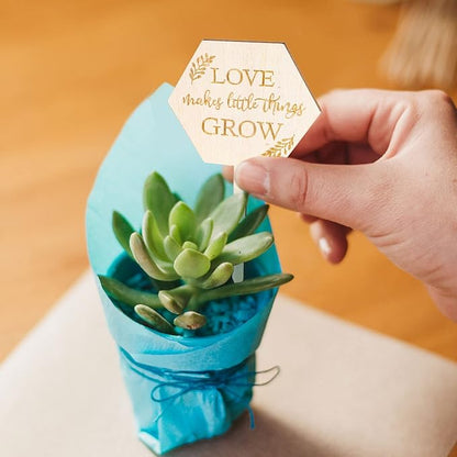 AnyDesign 30Pcs Love Makes Little Things Grow Plant Labels Wooden Plant Stakes Succulent Garden Marker Plant Sign for Seed Potted Teacher Appreciation Gift Wedding Baby Shower Thanksgiving Supplies