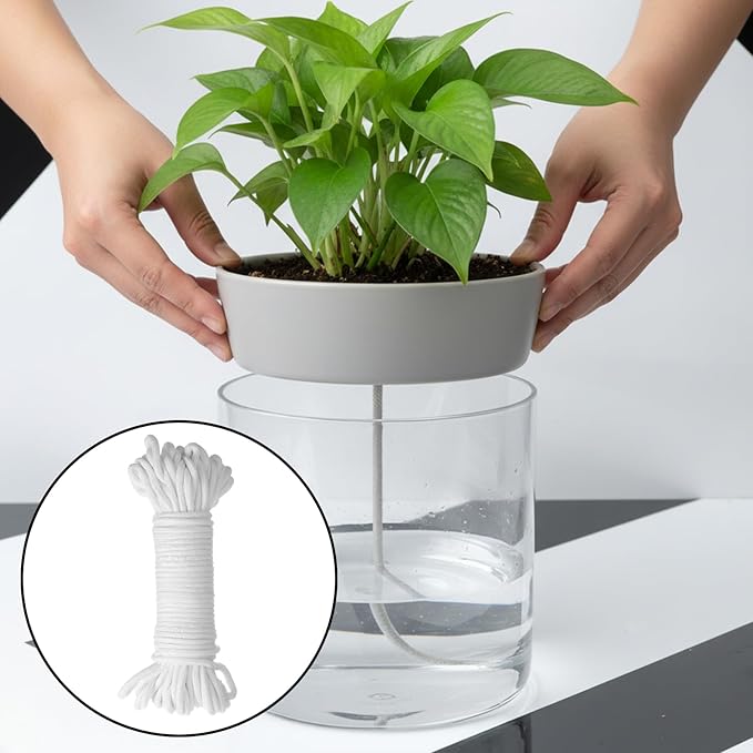 60 Feet 1/6 Inch Self Watering Wick Cord String, Hydroponic Wicking Rope, Potted Auto Seedling Waterer Rope for DIY Plant Automatic Watering Device, Vacation Plant Sitter, Pot Automatic Water System