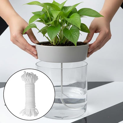 60 Feet 1/6 Inch Self Watering Wick Cord String, Hydroponic Wicking Rope, Potted Auto Seedling Waterer Rope for DIY Plant Automatic Watering Device, Vacation Plant Sitter, Pot Automatic Water System