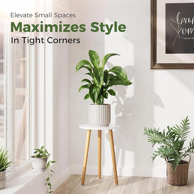 Leaf&lull Tall Plant Stand Indoor Small Plant Table for Large Plants Wooden Plant Stool Plant Holder for Living Room Bedroom Balcony White