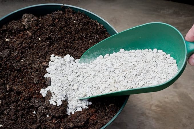 Nature's Footprint Pumice 3G 3 gallon Soil Amendment, Medium