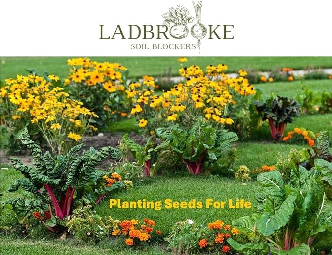 Ladbrooke Genuine Soil Block Maker - Mini 5 Hand Held, Made in England