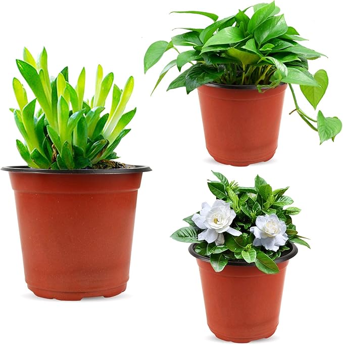 Augshy 130 Packs 6 Inches Plastic Plant Nursery Pots, Seed Starting Pot Flower Container for Succulents, Seedlings, Cuttings, Transplanting, Planter Home Docer