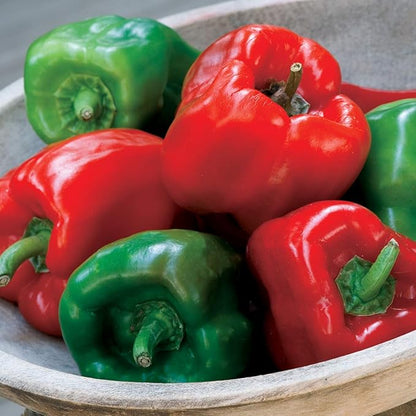 Burpee California Wonder (Organic) Sweet Pepper Seeds 300 seeds