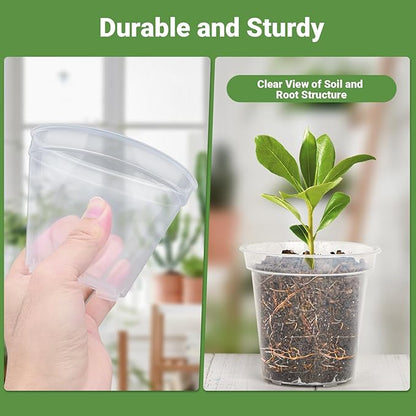 GREANER 60 Packs Reinforced Plastic Plant Pots, Transparent Nursery Pots with Drainage Holes for Plants, 4 Inch Clear Nursery for Orchid, Succulent, Vegetable, and Cactus