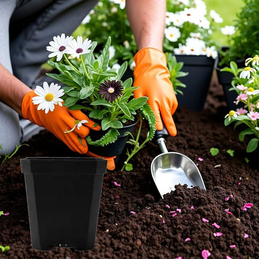 Square Nursery Pots 60Pcs 3" Deep Succulent Plastic Pots Small Flower Planter Seeds Starter Germination Pots for Plants, Succulent, Flower