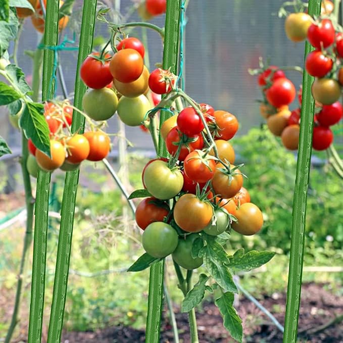 BOTINDO Garden Stakes 57 Inches Sturdy Green Plant Sticks 25 Pack, Metal Tomato Stakes Support, Yard Plant Support Cage for Potted Plants, Tomatoes, Trees, Cucumber, Fences, Beans (57 inch)