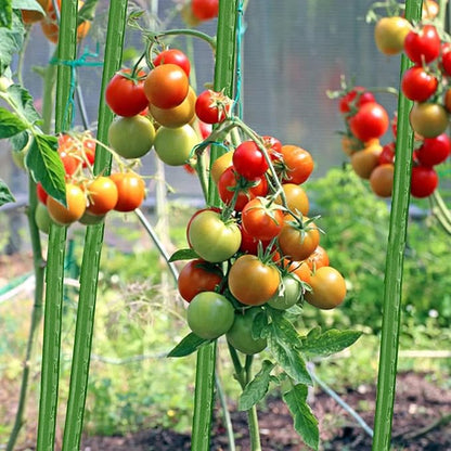 BOTINDO Garden Stakes 57 Inches Sturdy Green Plant Sticks 25 Pack, Metal Tomato Stakes Support, Yard Plant Support Cage for Potted Plants, Tomatoes, Trees, Cucumber, Fences, Beans (57 inch)