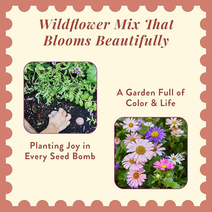 Modern Sprout Wildflower Seed Ball Poop - Christmas Gift - Non-GMO, Hand-Rolled Clay Seed Bombs with Wildflower Seeds - Plop Plant & Grow Gardening Gift Set for Kids & Adults (Jingle Plop - Pack of 3)