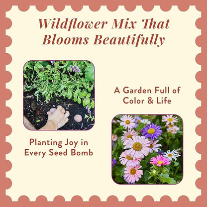 Modern Sprout Wildflower Seed Ball Poop - Christmas Gift - Non-GMO, Hand-Rolled Clay Seed Bombs with Wildflower Seeds - Plop Plant & Grow Gardening Gift Set for Kids & Adults (Jingle Plop - Pack of 3)