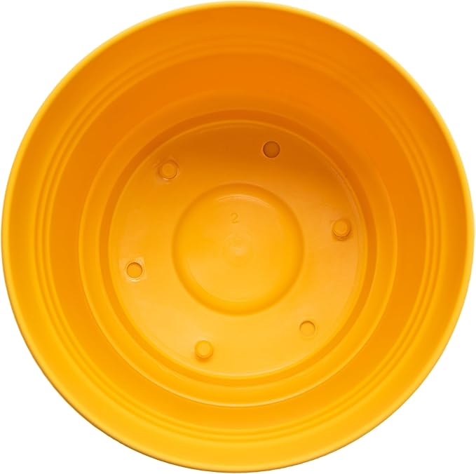 Bloem Saturn Round Planter with Saucer Tray: 12" - Earthy Yellow - Durable Plastic Pot, Matte Finish, Removable Saucer, for Indoor & Outdoor Use, Gardening, 3 Gallon Capacity