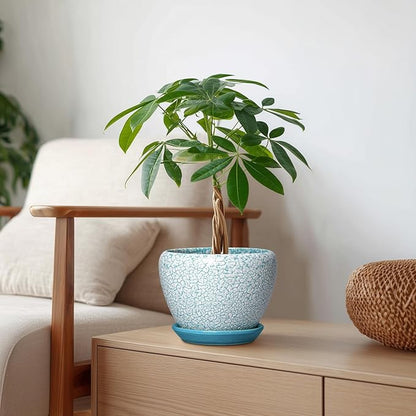 Ceramic Plant Pot - 6 Inch Indoor Planters for Succulent Plants, Round Decorative Flower Pot with Drainage Hole and Saucer, Small Plant Pots, Room Decor, Gifts for Gardeners, Crackle Blue