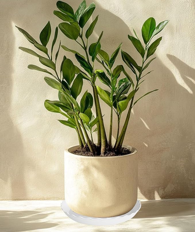 2 Pack Plant Saucer 10 inch, Heavy Duty Plastic Plant Saucers, Durable Plant Tray for Pots, Flower Saucers for Indoors, Plant Pot Saucers, Trays for Planter (White)