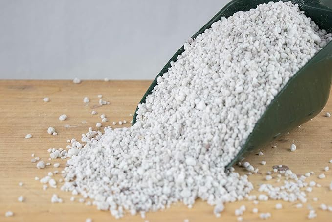 2 Gal. Perlite & Vermiculite for Seedling, Cuttings, Propagatiion, Cactus & Succulent, Bonsai Tree Soil Mix - 1 Gal. Each