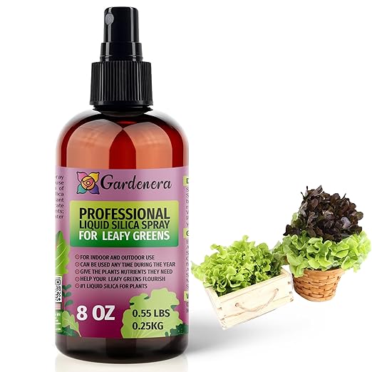 𝐒𝐔𝐏𝐄𝐑𝐈𝐎𝐑 Liquid Silica Boost Fertilizer and Supplement Spray for Leafy Greens Plants – Pre-Mixed, Ready-to-Use Liquid Silicon Plant Superfood Mist for Indoor & Outdoor Plants – 8oz