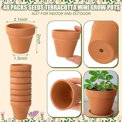 End of Year Gifts Teacher Thank You for Helping Me Grow Envelopes Seed Packets Include 24 Mini Terracotta Pots Seed Packets 24 Self Adhesive Envelopes Thank You Tags Gifts for Graduation
