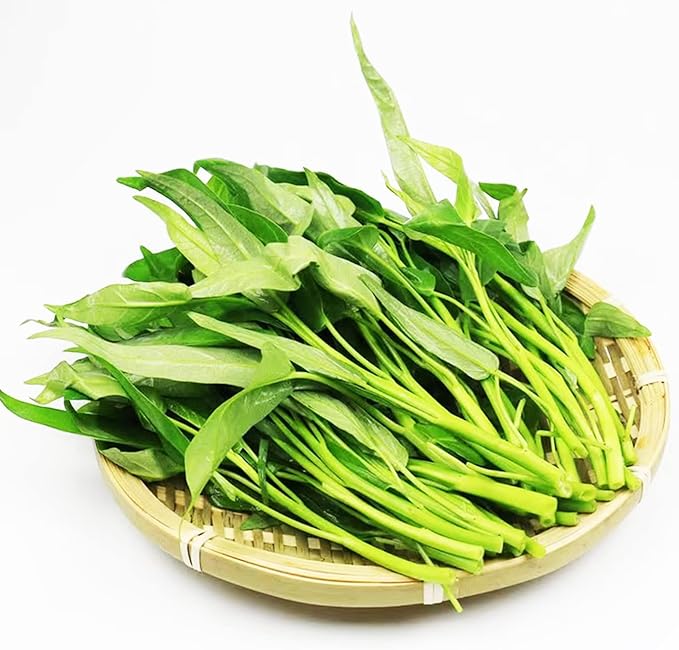 2000+ Kong Xin CAI Vegetable Seeds Water Spinach Kangkong Delicious Vegetable Seeds for Green Leaf Planting Garden Non-GMO Choy Ong Seed