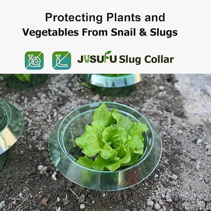 10 Pack Slug Collars for Plants,Medium-Sized Snail Protection Ring, Provides Effective Protection Against Snails for Your Salad Plants and Others Plants.